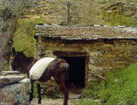 image015 MOLINUM